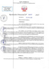 Vista preliminar de documento RD N 00267
