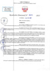 Vista preliminar de documento RD N 00273