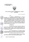 Vista preliminar de documento RUAF 036-2025-PRONIS