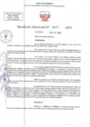 Vista preliminar de documento RD N 00274