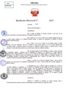 Vista preliminar de documento Resolucion Directoral N° 002324-2025