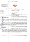 Vista preliminar de documento RD N 00275