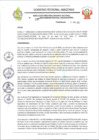 Vista preliminar de documento RESOLUCION N 197