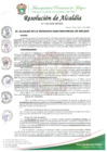 Vista preliminar de documento RESOLUCION DE ALCALDIA Nº 115-2025