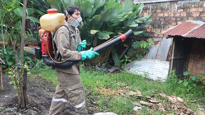 Dengue en Loreto: fumigan viviendas, capacitan personal y promueven vacunación