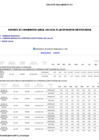 Vista preliminar de documento Reporte de Seguimiento del Plan Operativo Institucional - POI 2024