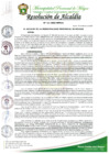Vista preliminar de documento RESOLUCION DE ALCALDIA Nº 121-2025