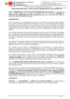 Vista preliminar de documento RESOLUCION DIRECTORAL N° 000215-2025