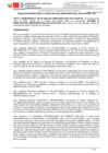 Vista preliminar de documento RESOLUCION DIRECTORAL N° 000216-2025