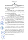 Vista preliminar de documento R-GRDS N° 132-2025
