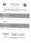 Vista preliminar de documento FE DE ERRATAS