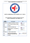 Vista preliminar de documento PLAN DE AUDITORÍA DE LA CALIDAD DE ATENCIÓN EN SALUD 2025