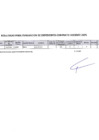 Vista preliminar de documento RESULTADO FINAL