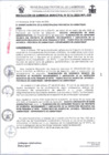 Vista preliminar de documento 0116-2025RG
