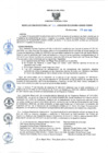 Vista preliminar de documento rd62