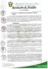 Vista preliminar de documento RESOLUCION DE ALCALDIA Nº 133-2025