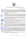 Vista preliminar de documento rd60