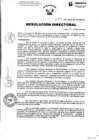 Vista preliminar de documento Resolución Directoral N102-2025-DRSL-RL-HH-SBS