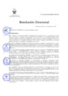 Vista preliminar de documento RD Nº 45-2025-DG-INSM