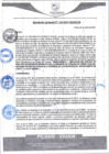 Vista preliminar de documento rgm102_compressed