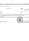 Vista preliminar de documento ANEXO N°06 - APROBACIÓN DE MODIFICACION AL CMN N°0053