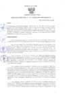 Vista preliminar de documento RESOLUCIÓN DIRECTORAL N° 0132-2025-HNSLMP