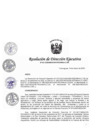 Vista preliminar de documento RECONFORMAR COMISION DE RECEPCION, LIQ. Y TRANSF. PIP BAMBU