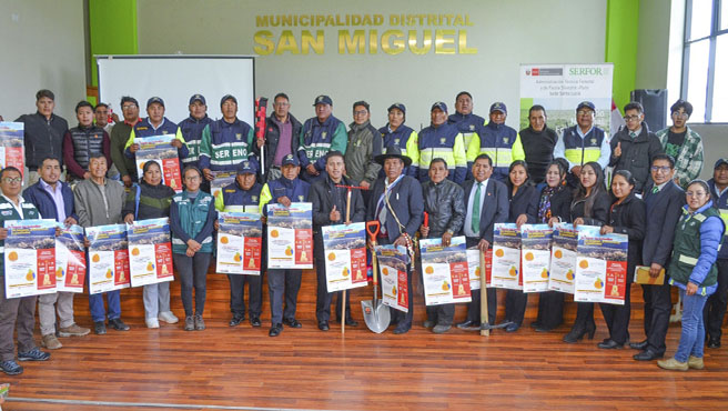 puno incendios