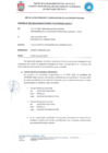 Vista preliminar de documento EVALUACION AL COMITE I-2025