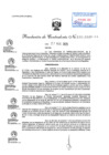 Vista preliminar de documento RC N°141-2025-CG