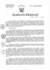 Vista preliminar de documento RD N°91-2025-DG/HNHU