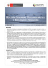Vista preliminar de documento BS OBP N°13 2025