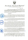 Vista preliminar de documento RDR-185-2025