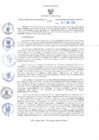 Vista preliminar de documento RER.197
