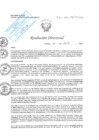 Vista preliminar de documento RD N° 126-2025-DE/HJATCH