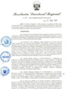 Vista preliminar de documento RDR-195-2025