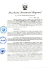 Vista preliminar de documento RDR-196-2025