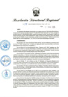 Vista preliminar de documento RDR-198-2025