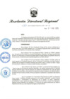 Vista preliminar de documento RDR-203-2025