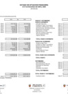 Vista preliminar de documento Estado de Situación Financiera al 31.12.2024