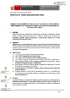 Vista preliminar de documento DIRECTIVA-000005-2025-SEC GRAL ANEXO RJ037-2025