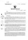 Vista preliminar de documento R.D. 873-2024