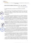 Vista preliminar de documento RGM2732024MPA