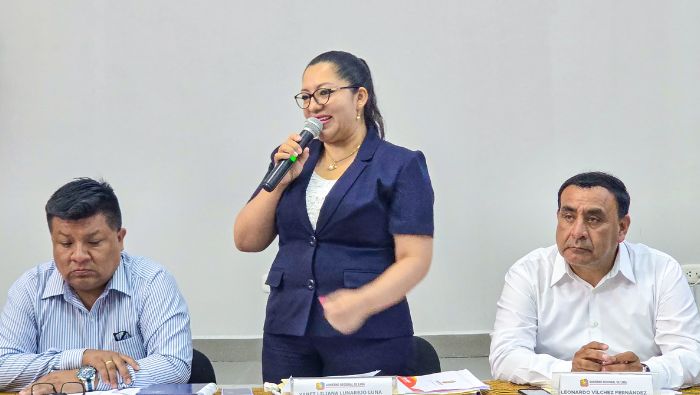 9O%  del Presupuesto Participativo es destinado para obras de infraestructura