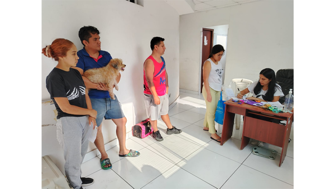 Con un costo accesible, decenas de vecinos llevaron a sus mascotas para acceder a este servicio clave, que no solo ayuda a controlar la población animal, sino que también protege la salud y el bienestar de perros y gatos en el distrito.🐾🐾
Teniendo en cuenta que la esterilización es un tema prioritario como parte de la salud pública, y gracias al trabajo de un equipo de veterinarios colegiados y habilitados, cada procedimiento realizado se efectuó de forma segura y profesional. Los dueños siguieron indicaciones importantes como llevar a sus mascotas en ayunas, con una manta y en buen estado de salud.👨‍⚕️👩‍⚕️🐹🐱
Con estas campañas, buscamos reducir el abandono y maltrato animal, promoviendo la tenencia responsable. La respuesta de los vecinos fue increíble, resaltando la importancia de estas iniciativas para el distrito.👍
💪¡Seguiremos organizando más jornadas para construir juntos una ciudad más responsable y solidaria con sus animales!