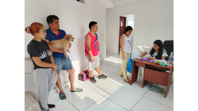 Con un costo accesible, decenas de vecinos llevaron a sus mascotas para acceder a este servicio clave, que no solo ayuda a controlar la población animal, sino que también protege la salud y el bienestar de perros y gatos en el distrito.🐾🐾
Teniendo en cuenta que la esterilización es un tema prioritario como parte de la salud pública, y gracias al trabajo de un equipo de veterinarios colegiados y habilitados, cada procedimiento realizado se efectuó de forma segura y profesional. Los dueños siguieron indicaciones importantes como llevar a sus mascotas en ayunas, con una manta y en buen estado de salud.👨‍⚕️👩‍⚕️🐹🐱
Con estas campañas, buscamos reducir el abandono y maltrato animal, promoviendo la tenencia responsable. La respuesta de los vecinos fue increíble, resaltando la importancia de estas iniciativas para el distrito.👍
💪¡Seguiremos organizando más jornadas para construir juntos una ciudad más responsable y solidaria con sus animales!