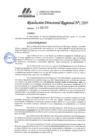 Vista preliminar de documento 089 2025