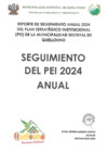 Vista preliminar de documento Reporte-Seguimiento-Anual-PEI-2024
