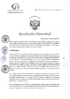 Vista preliminar de documento RD N°083-03-2024-DE-HCLLH-MINSA