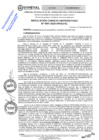 Vista preliminar de documento Resolución Consejo Universitario N° 0991-2025-UNHEVAL